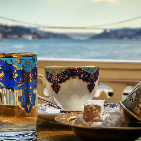Sait Halim Pasa Yalisi Сasa de vacaciones *